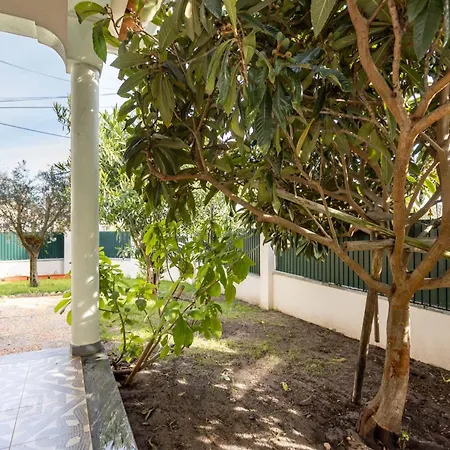 Casa Ze Da Cotta Marisol * Corroios