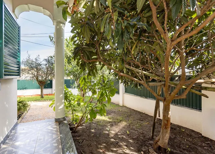 Casa Ze Da Cotta Marisol * Corroios